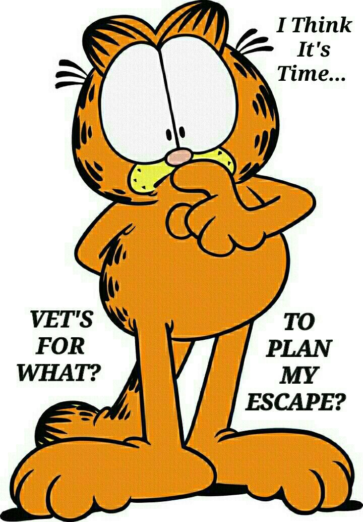 Thru the Cat Flap? 🙄 Garfield wallpaper, Garfield