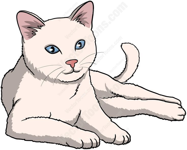 Image result for baby panda bear laying down clipart Cat