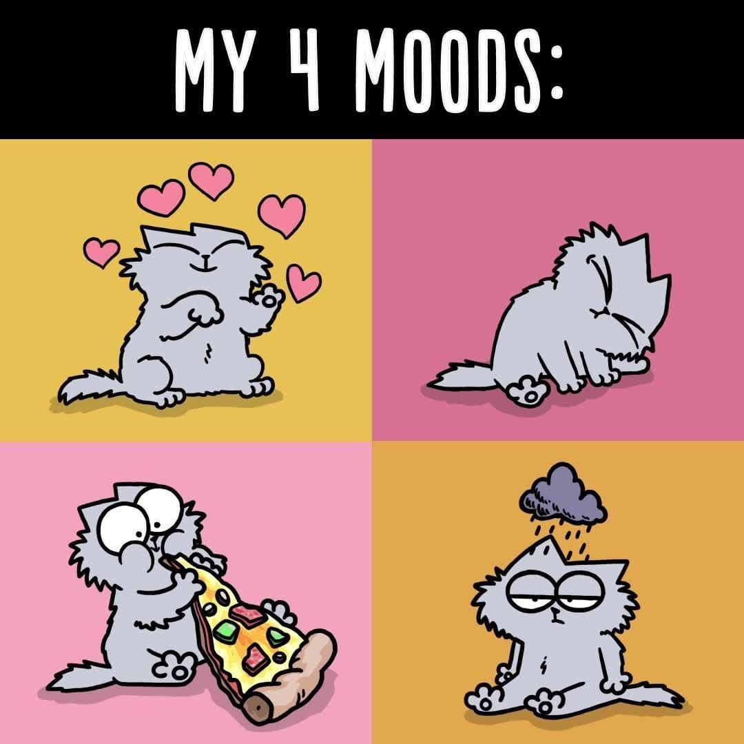Simon's Cat on Instagram “Being all 4 at the same time