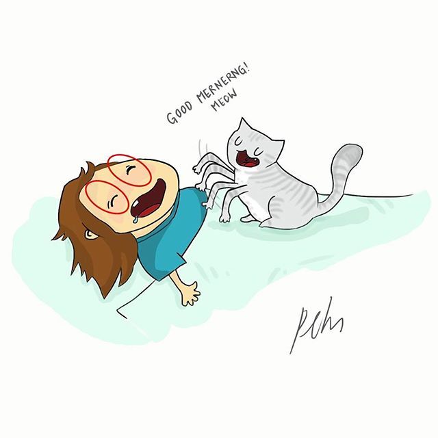 Cat Cartoon Video Wake Up