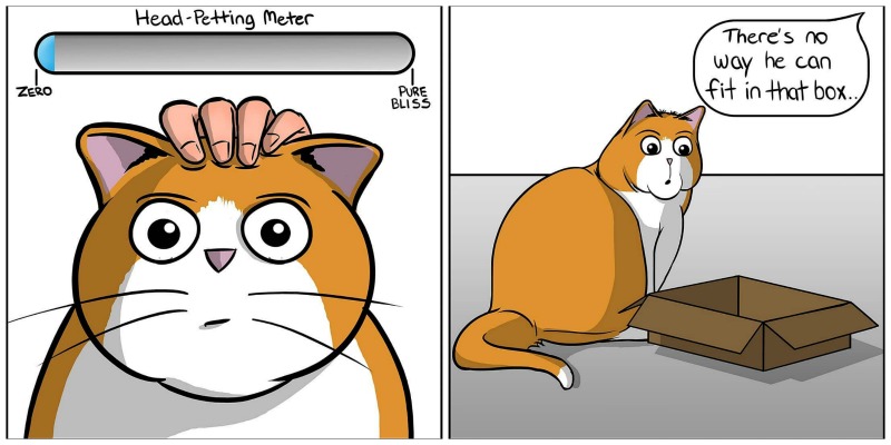 Cat Loving Comic Creator The Purrington Post