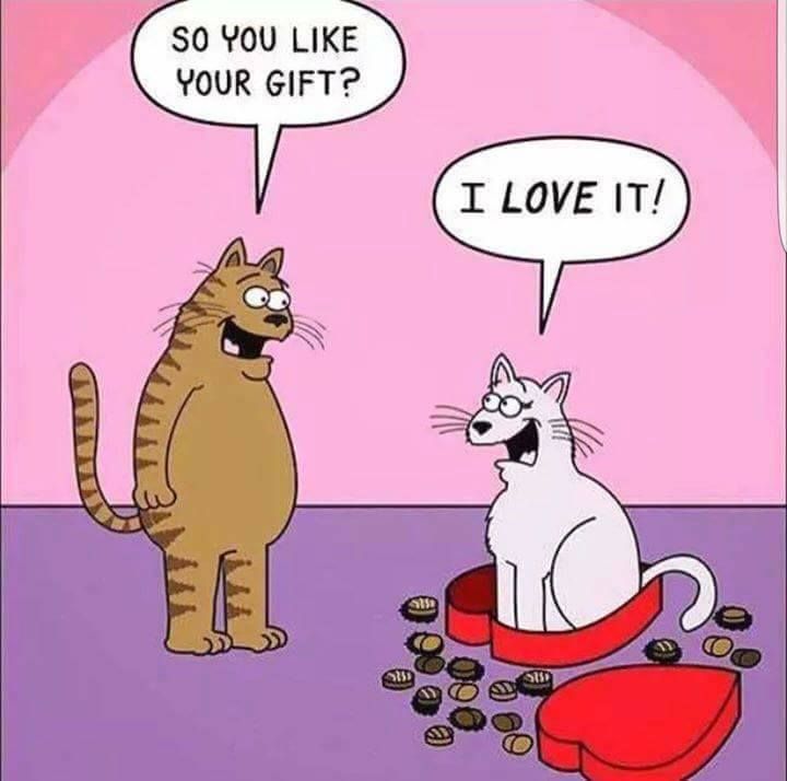 Untitled Cat jokes, Cartoon cat, Cat comics