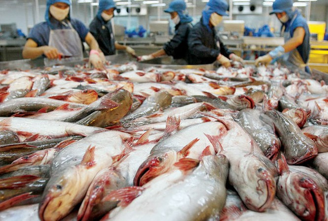 Cambodia cancels Vietnamese catfish import ban VNExplorer