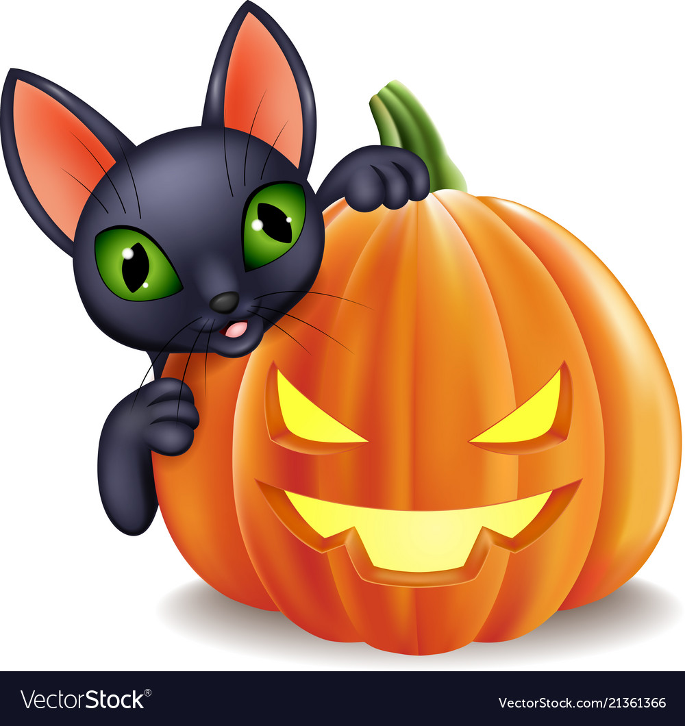 Cartoon black cat holding halloween pumpkin Vector Image