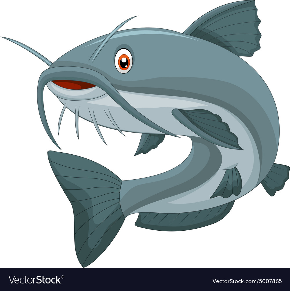 Cartoon catfish Royalty Free Vector Image VectorStock