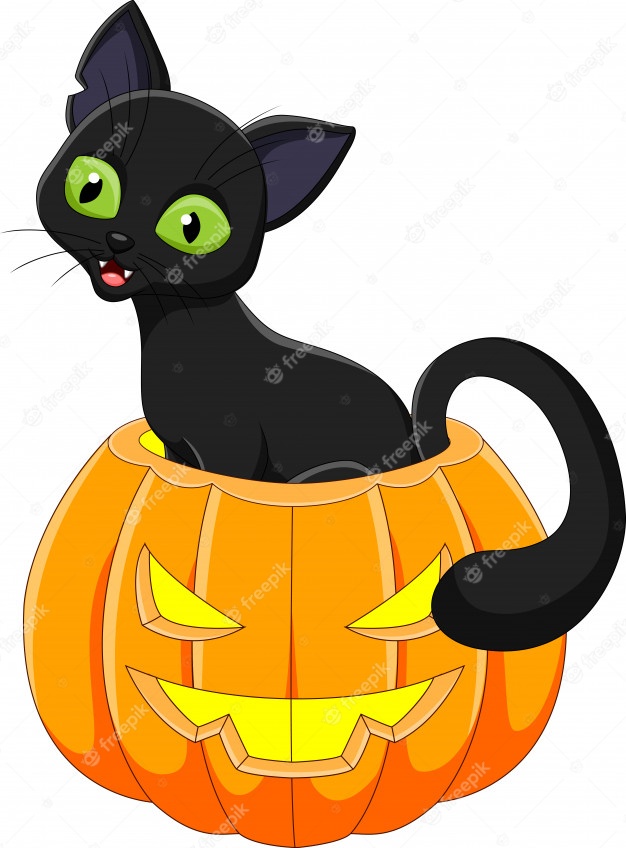 Cartoon funny cat with halloween pumpkin Vector Premium