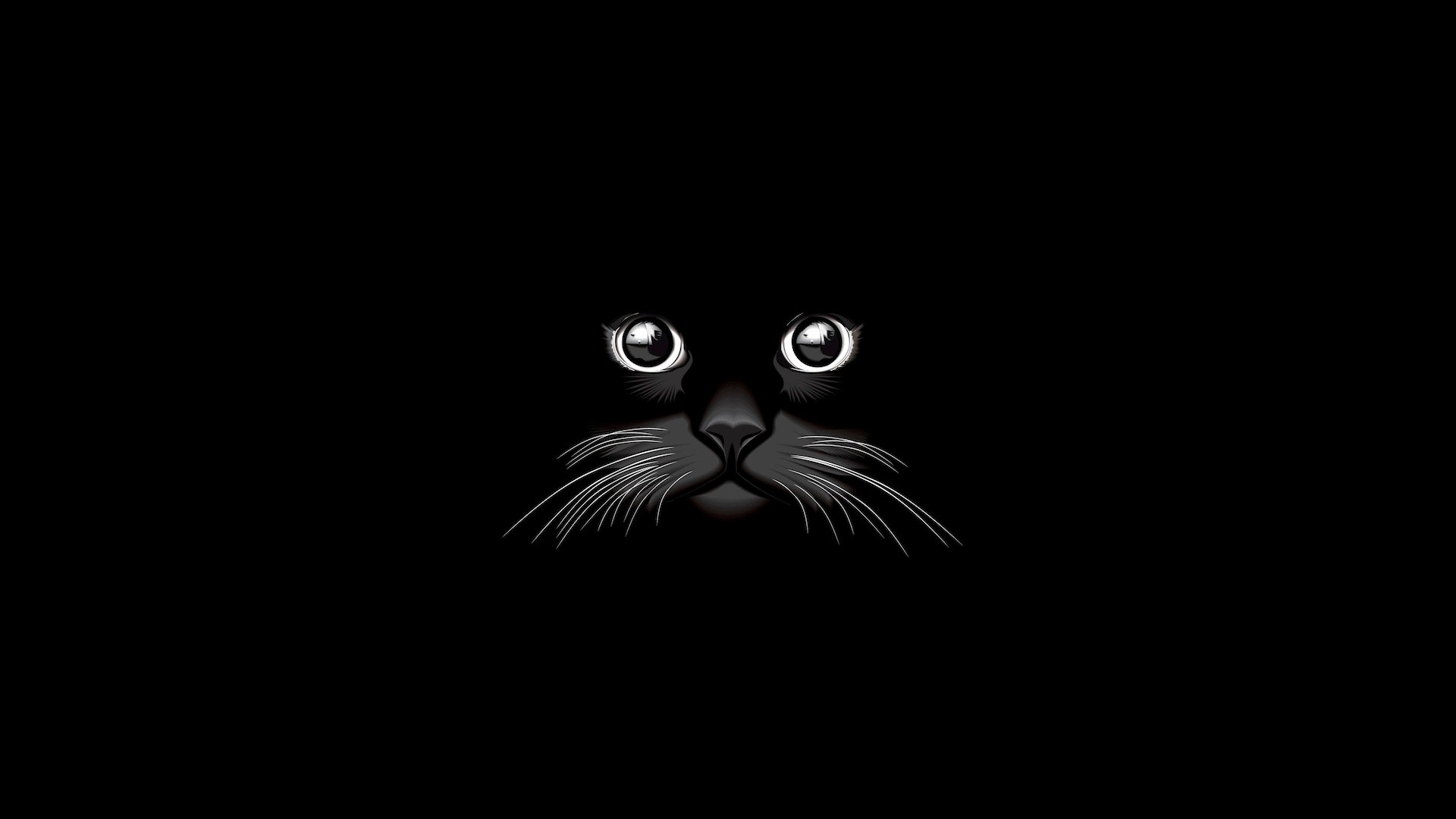 Cat Vector, HD Animals, 4k Wallpapers, Images, Backgrounds