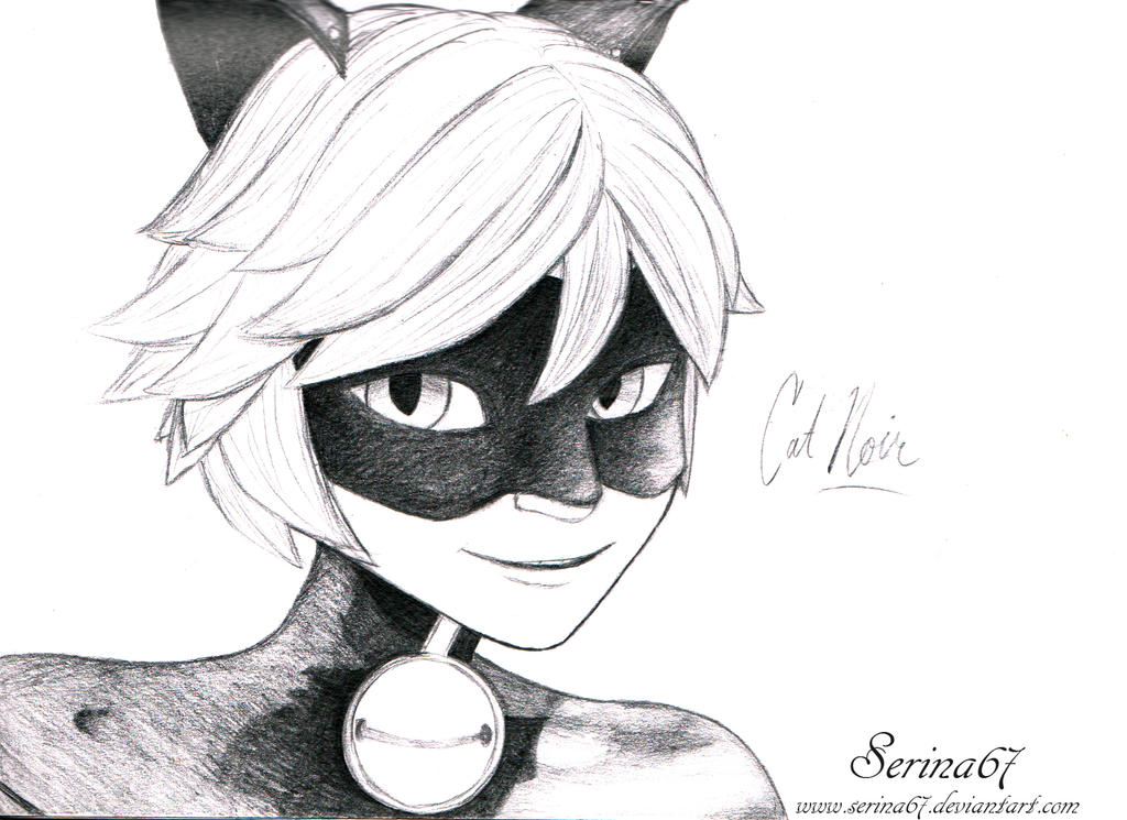 Cat Noir drawing by Serina67 on DeviantArt