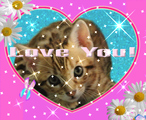 Cute I Love You Gifs With Hearts and Animals Random