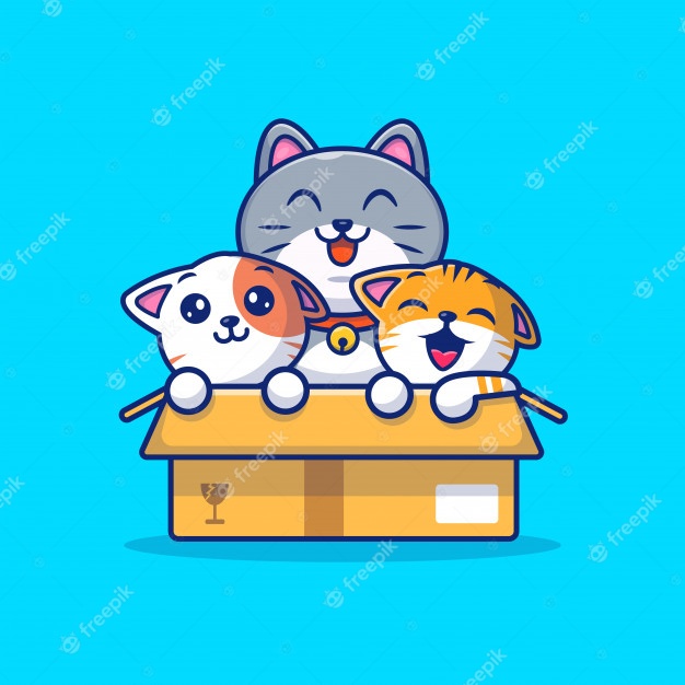 Cute cats play in box cartoon icon illustration. animal