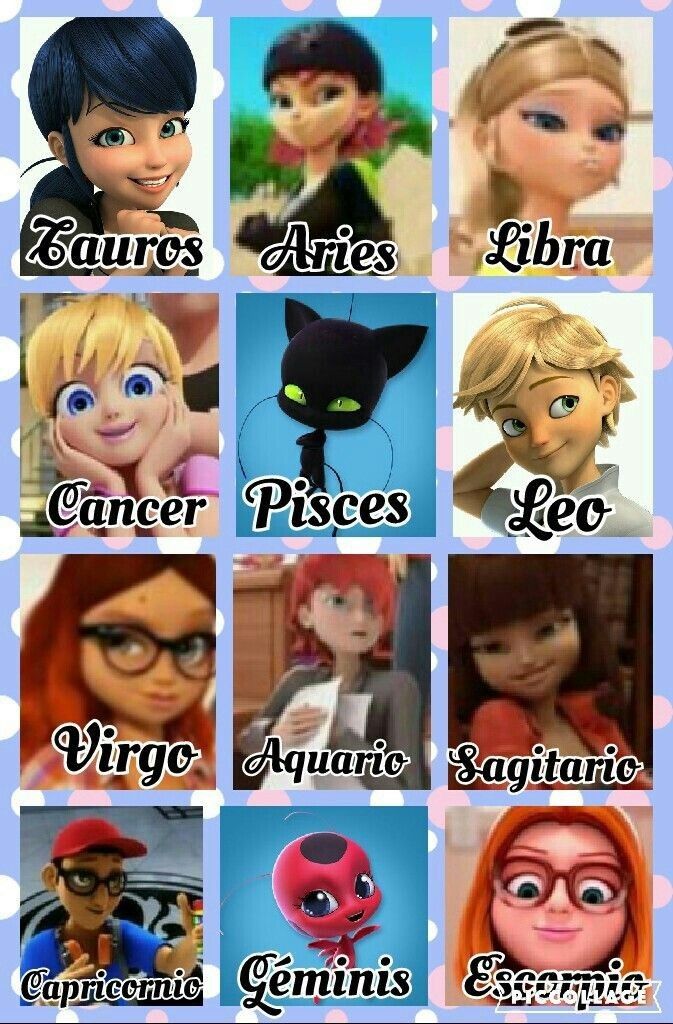 Pin by 🐶Dog Lover💖 on Zodiac signs Miraculous ladybug