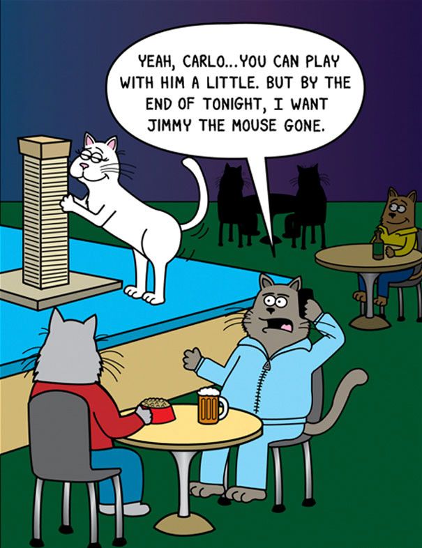 Cat Comics Cat comics, Funny cats, Cat jokes
