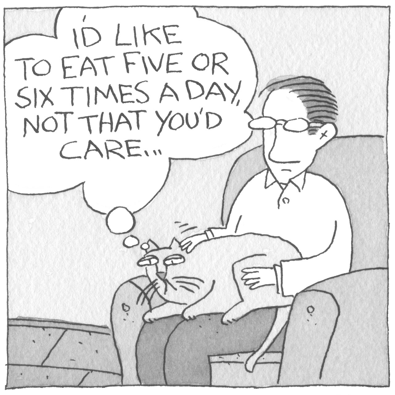 The World’s Most Demanding Cat The New Yorker