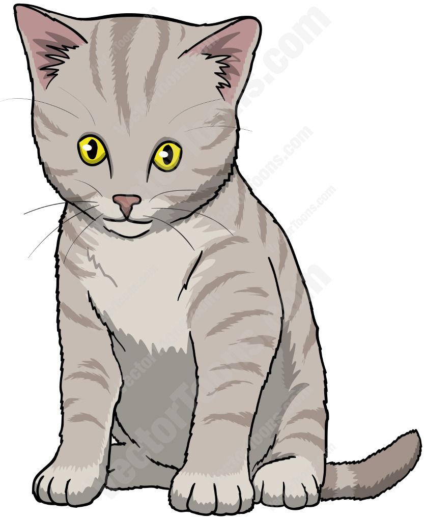 Grey Kitten With Yellow Eyes Sitting And Looking Down