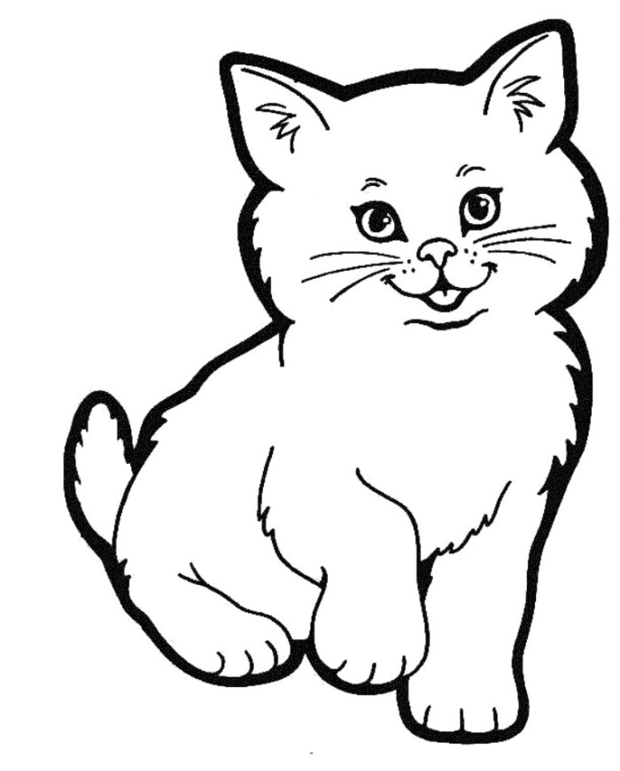 How to draw a cute realistic cat cartoon face step by step