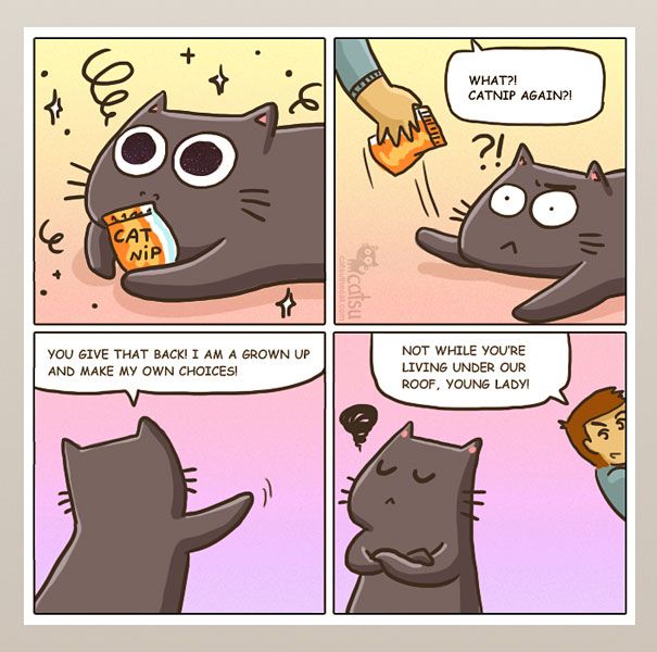 101 Comics That Purrfectly Capture Life With Cats Cat