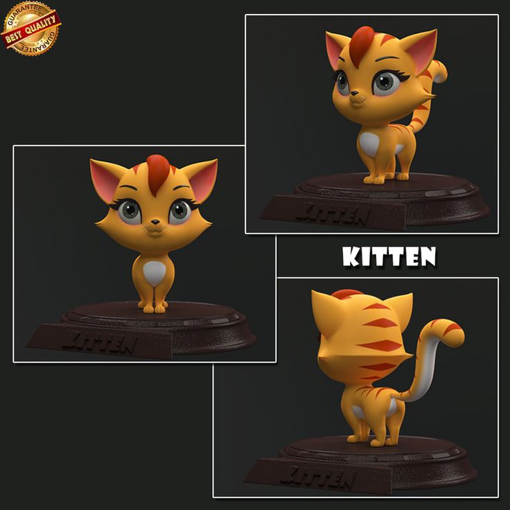 3d kitten cartoon in 2020 Kitten cartoon, Cat behavior