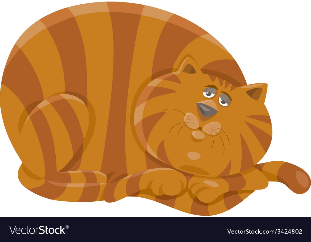 Fat cat character cartoon Royalty Free Vector Image