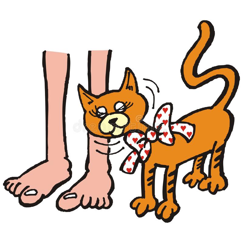 Female cat and foot stock vector. Illustration of foot