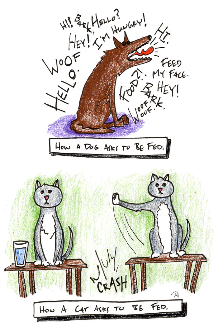Funny comics illustrate the differences between cats and