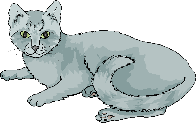 Funny Grey Cat Laying on a Floor Free Clipart Free