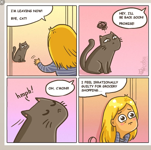 What are the best comic strips featuring cats? Quora