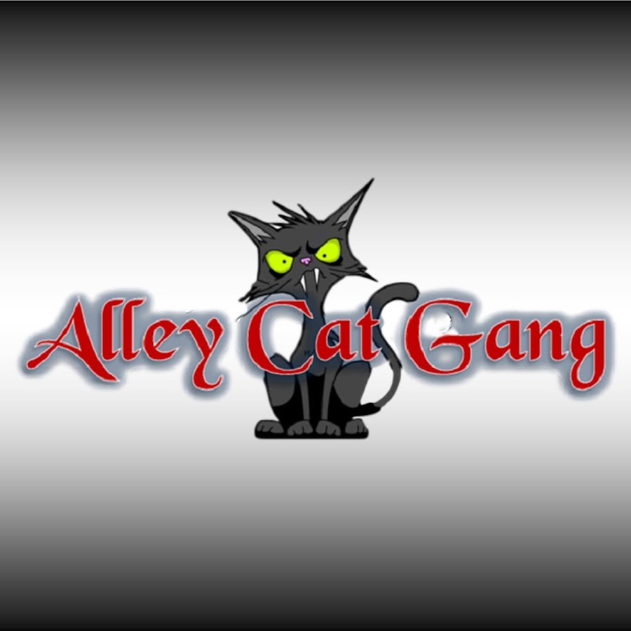 Alley Cat Gang Official YouTube