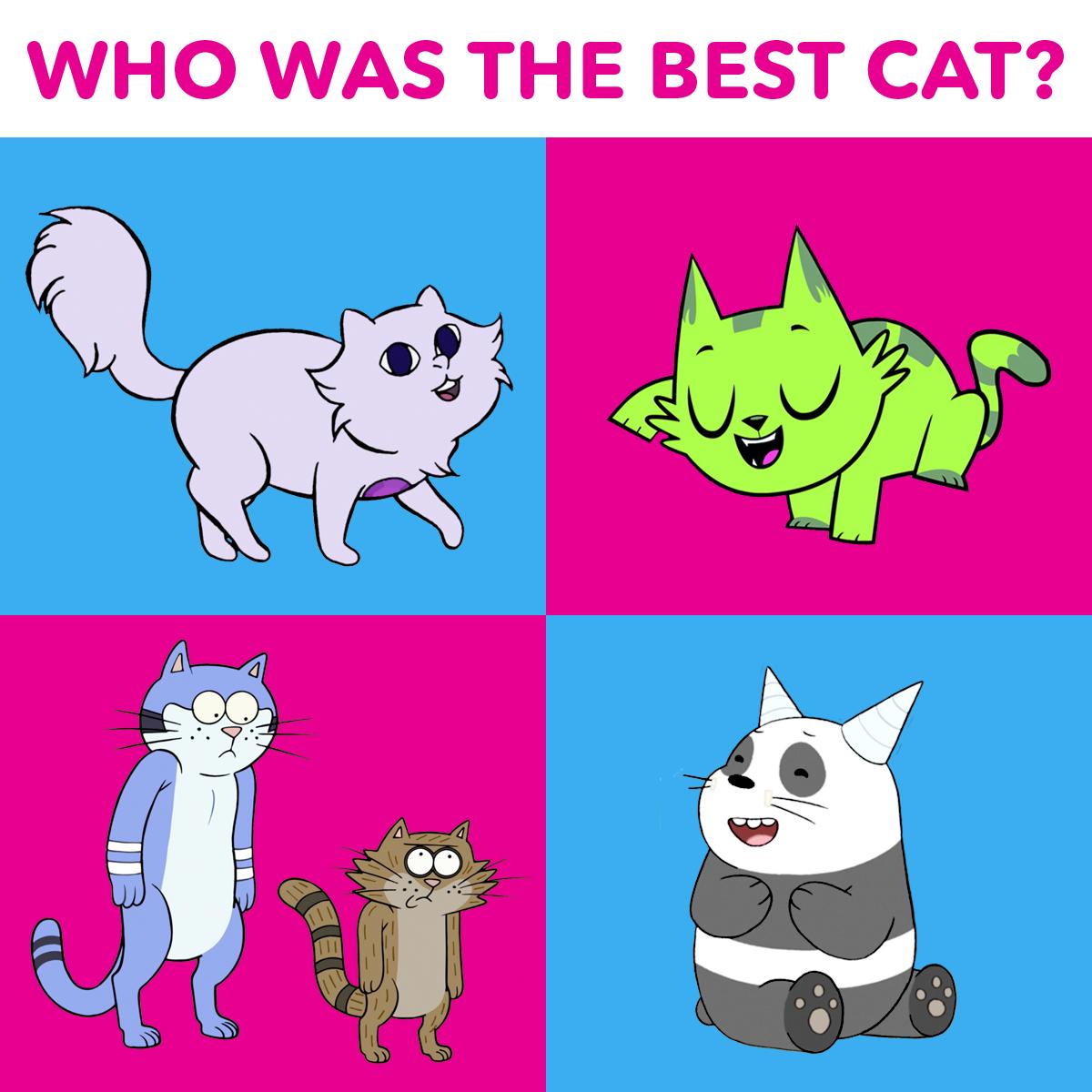 Cartoon Network on Twitter "Who had the best cat