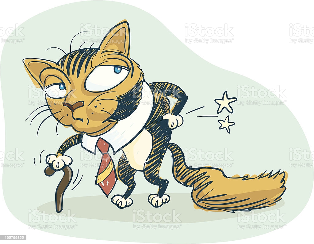 Best Senior Cat Illustrations, RoyaltyFree Vector
