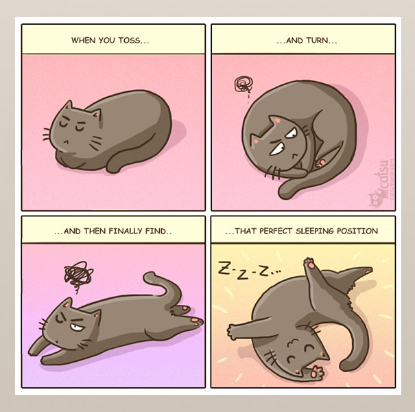 15 Comics Show Why It’s Never Boring To Live With A Cat