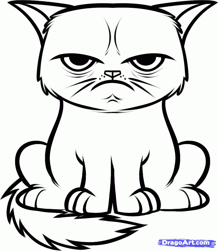 Line Drawing Of Cat at GetDrawings Free download