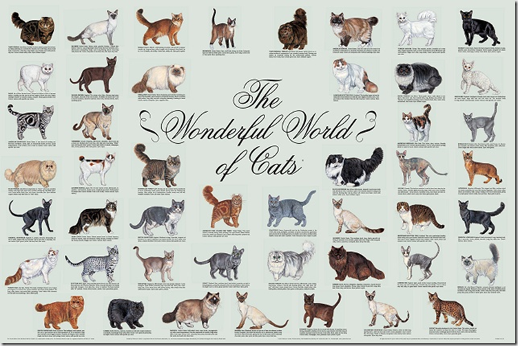 list of cat breeds image Biological Science Picture