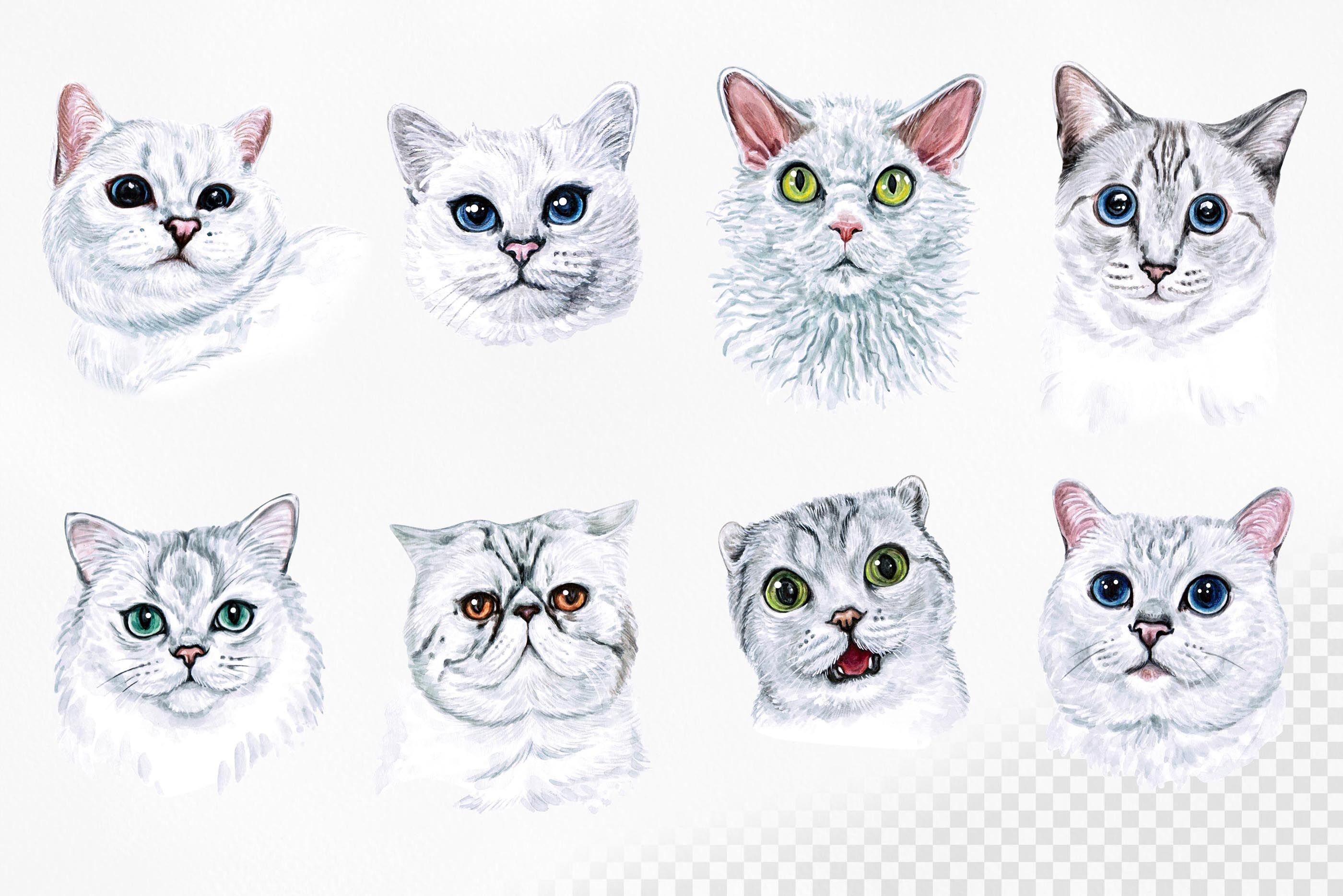 White cat. Watercolor set illustrations. Cute 8 cats. By