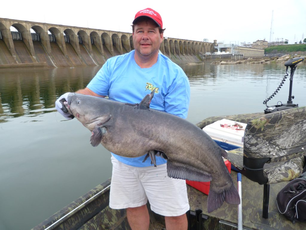 Catching Big Catfish Near Alabama Dams Great Days Outdoors