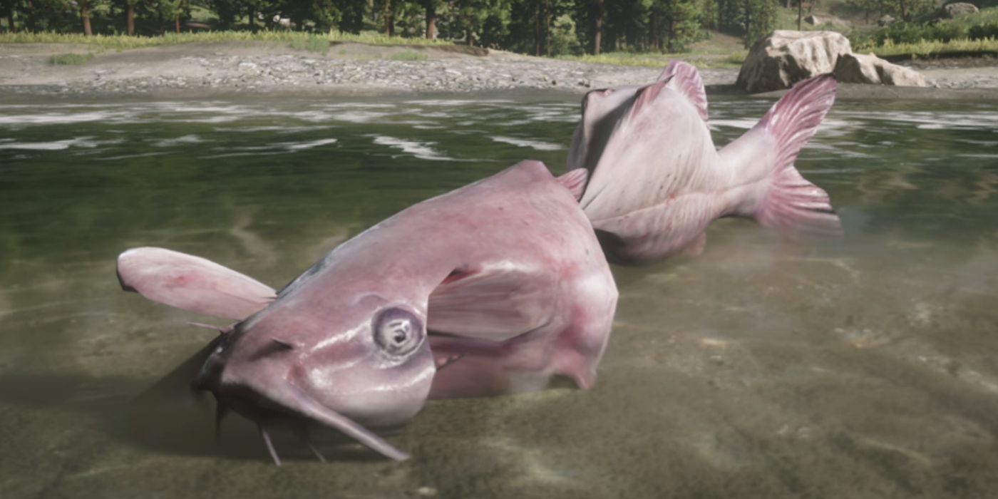 Red Dead Redemption 2 PC Players Discover Giant Catfish