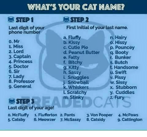 WHAT'S YOUR CAT NAME? 8 STEP1 STEP 2 First Initial of Your