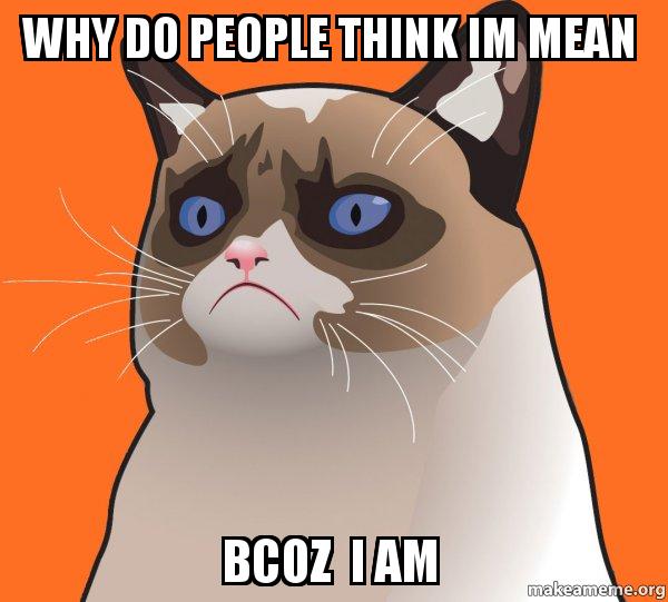 WHY DO PEOPLE THINK IM MEAN BCOZ I AM Cartoon Grumpy Cat